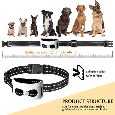 Innovative 2-in-1 Wireless Fence & Training Collar – Protect and Train Your Dog